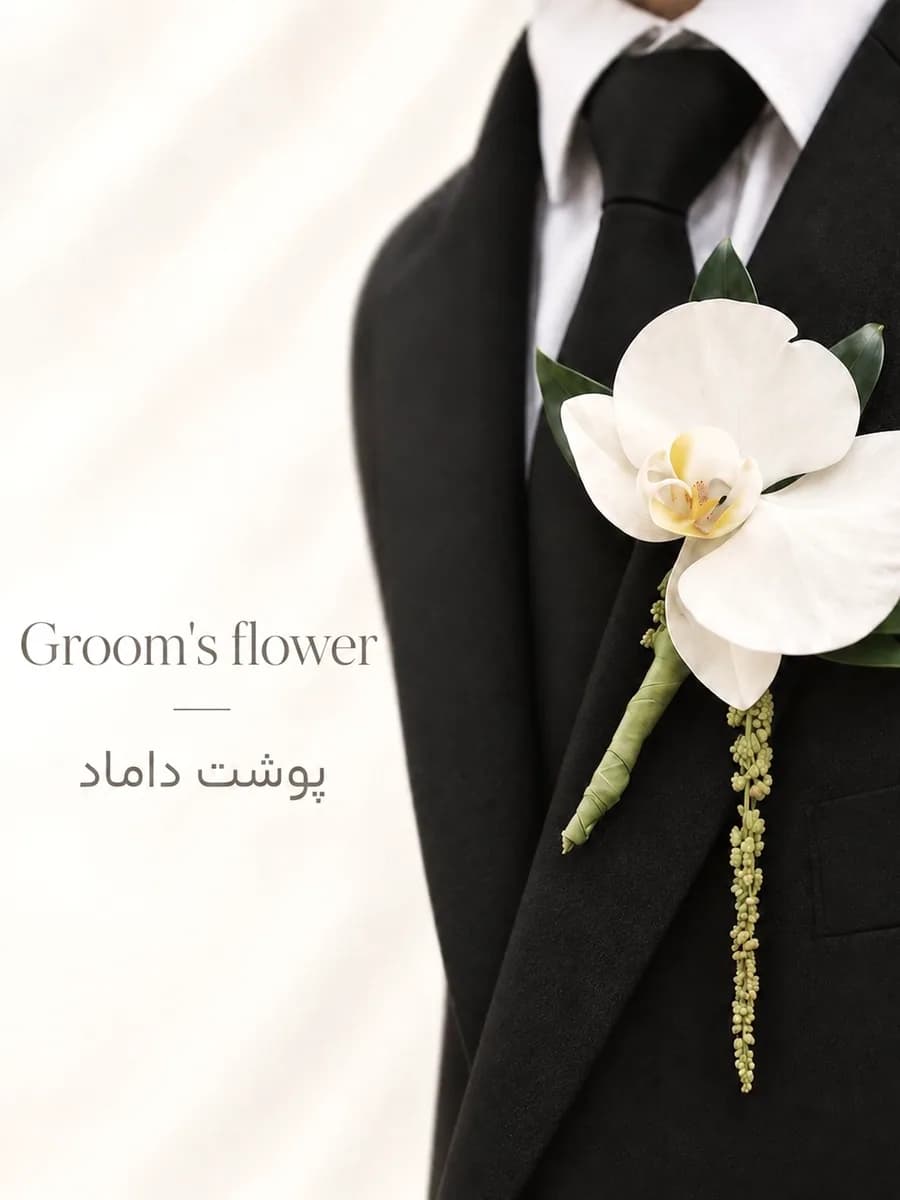 پوشت داماد